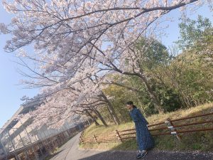 私的　レイキの効果